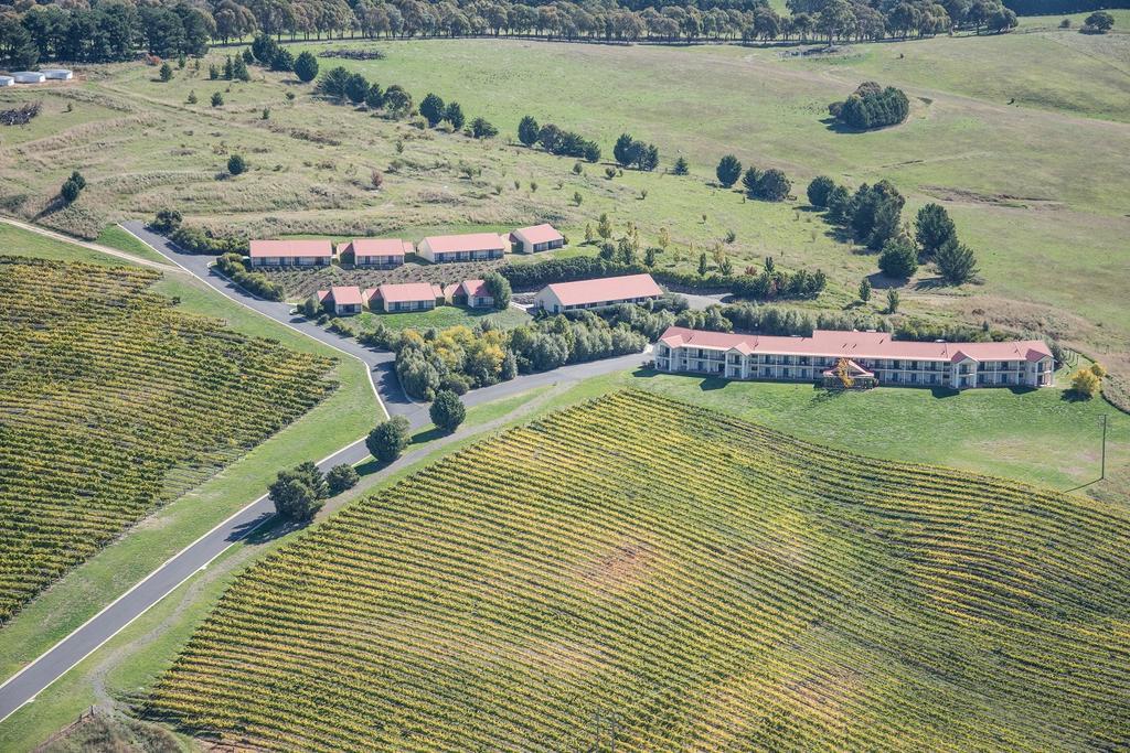 Turners Vineyard Motel Ориндж Екстер'єр фото