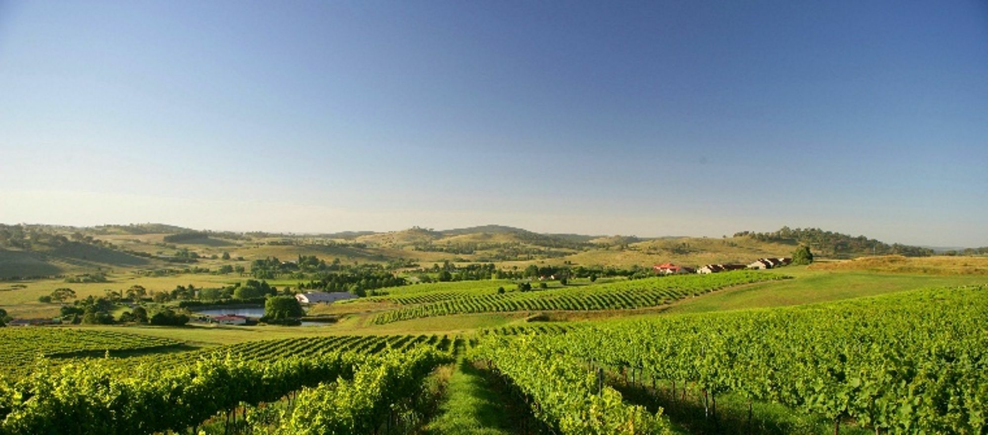 Turners Vineyard Motel Ориндж Екстер'єр фото