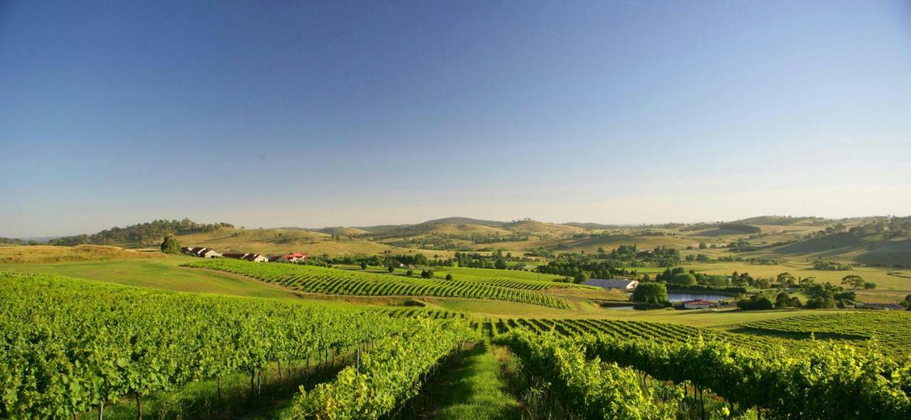Turners Vineyard Motel Ориндж Екстер'єр фото